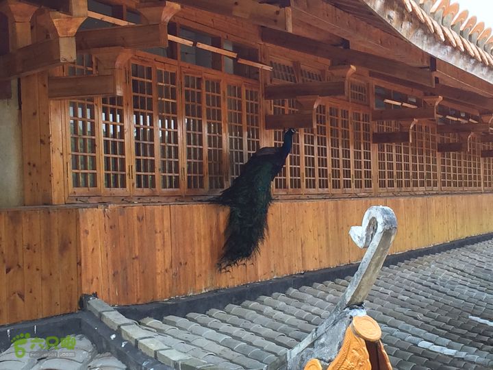 龙门水库--般诺庵--涌泉寺--十八景--下院穿越IMG_1370