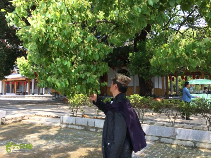 龙门水库--般诺庵--涌泉寺--十八景--下院穿越IMG_1373