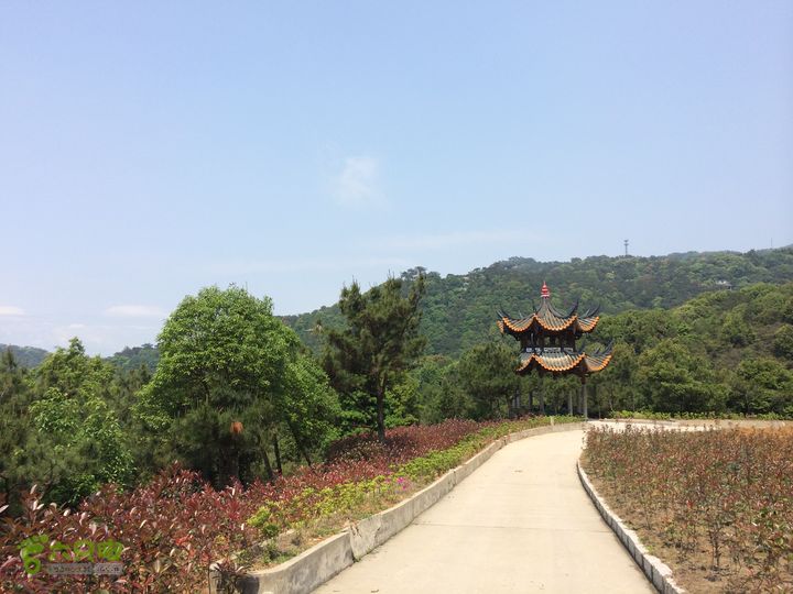 龙门水库--般诺庵--涌泉寺--十八景--下院穿越IMG_1375