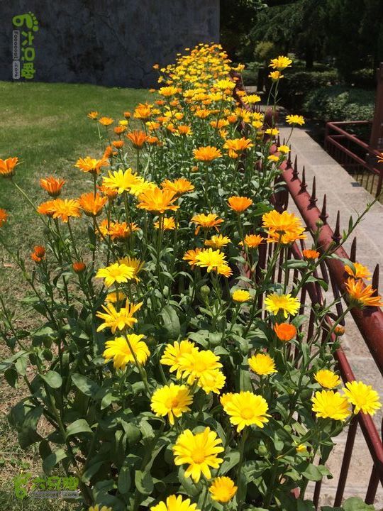 龙门水库--般诺庵--涌泉寺--十八景--下院穿越gallery.1398589299633