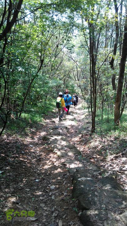 广州1778户外～香港凤凰径第12段徒步2014-04-27 10:58:38继续穿越林间小道下山