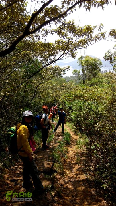 广州1778户外～香港凤凰径第12段徒步2014-04-27 11:00:58