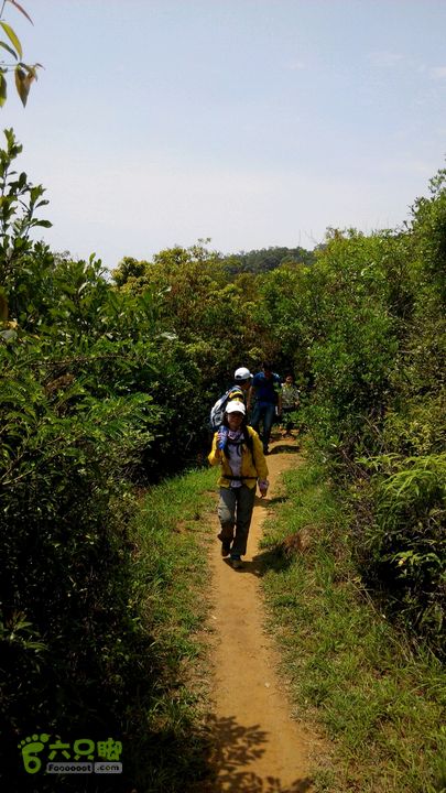 广州1778户外～香港凤凰径第12段徒步2014-04-27 11:16:39继续丛林路，一路海景