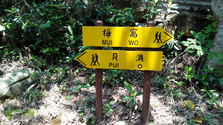 广州1778户外～香港凤凰径第12段徒步2014-04-27 11:18:08成熟的凤凰径，500米一标，且一路上方向指示明确