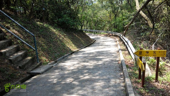 广州1778户外～香港凤凰径第12段徒步2014-04-27 11:25:29继续山路