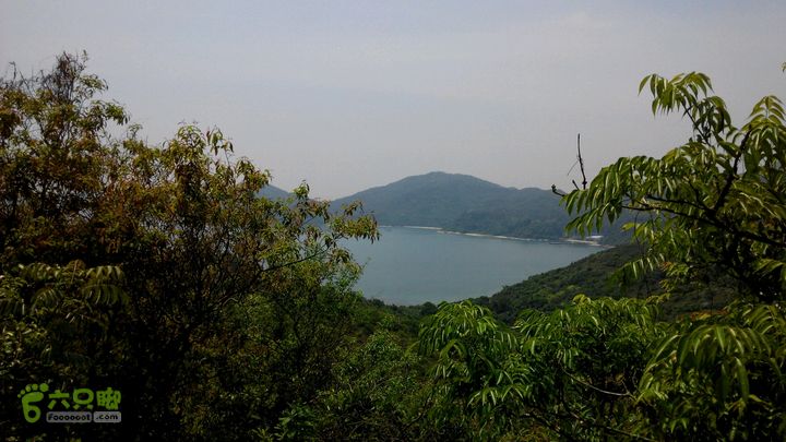 广州1778户外～香港凤凰径第12段徒步2014-04-27 11:28:23丛林中又现海湾