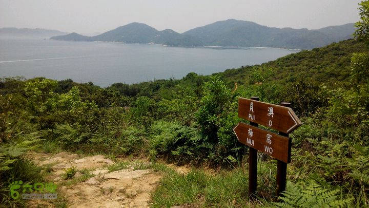 广州1778户外～香港凤凰径第12段徒步2014-04-27 11:43:24又见指示标