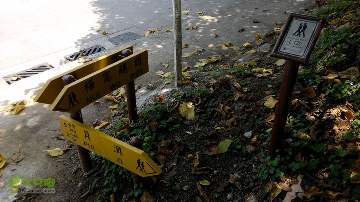 广州1778户外～香港凤凰径第12段徒步2014-04-27 12:05:00到达凤凰径终点，梅窝码头，139标处