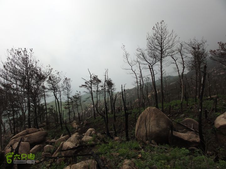 安庆佛云山寺行DSC07511