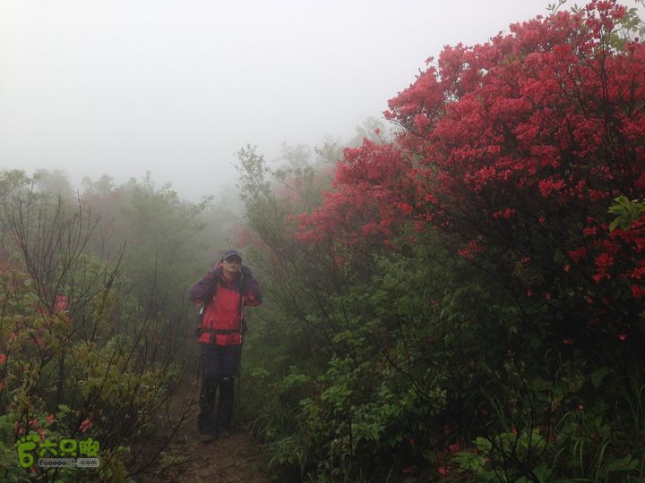 湖州暴走军团李家门-绿葱湖-桃源尖-渔沧村徒步穿越IMG_0854