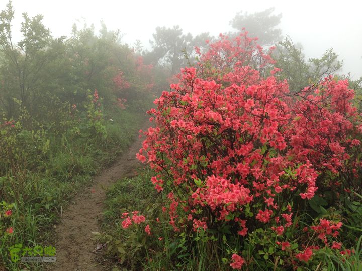 湖州暴走军团李家门-绿葱湖-桃源尖-渔沧村徒步穿越IMG_0883