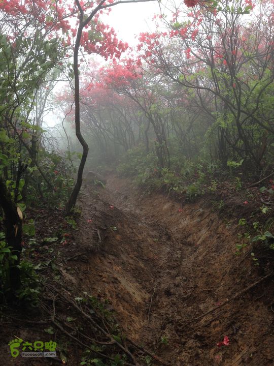 湖州暴走军团李家门-绿葱湖-桃源尖-渔沧村徒步穿越IMG_0888