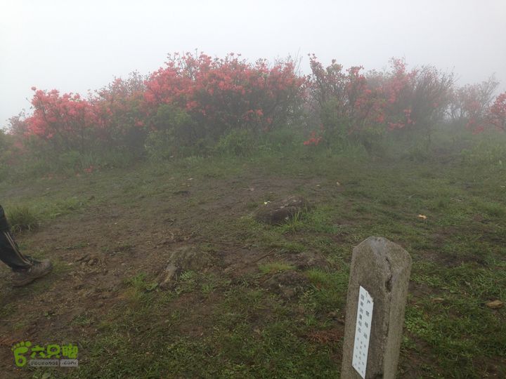 湖州暴走军团李家门-绿葱湖-桃源尖-渔沧村徒步穿越IMG_0908