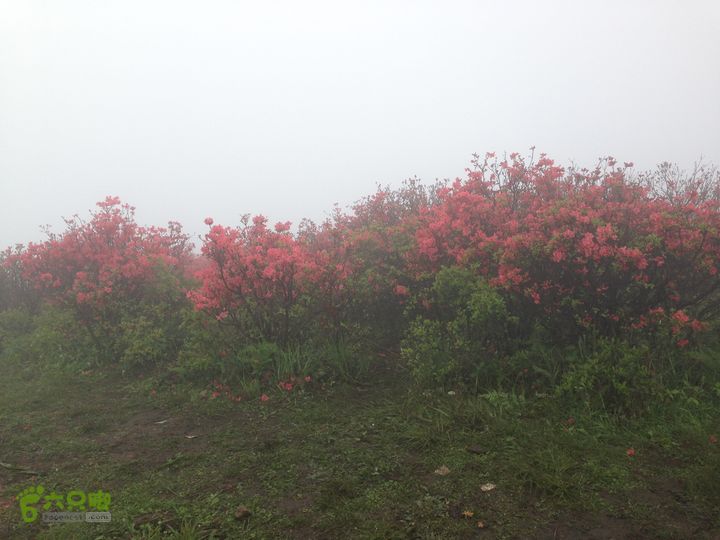 湖州暴走军团李家门-绿葱湖-桃源尖-渔沧村徒步穿越IMG_0909