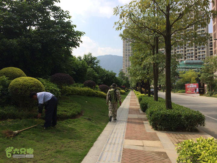 汤斜古道-大北岭-状元岭-贡院岭-泉头古道-杨廷水库圈越2014-05-01 14:53:23