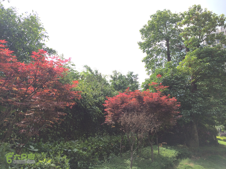 汤斜古道-大北岭-状元岭-贡院岭-泉头古道-杨廷水库圈越2014-05-01 14:54:37