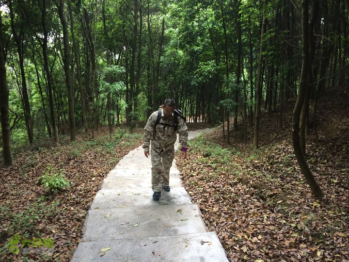 汤斜古道-大北岭-状元岭-贡院岭-泉头古道-杨廷水库圈越IMG_1512