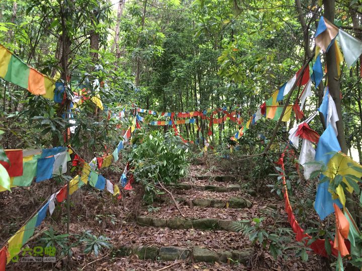 汤斜古道-大北岭-状元岭-贡院岭-泉头古道-杨廷水库圈越IMG_1518