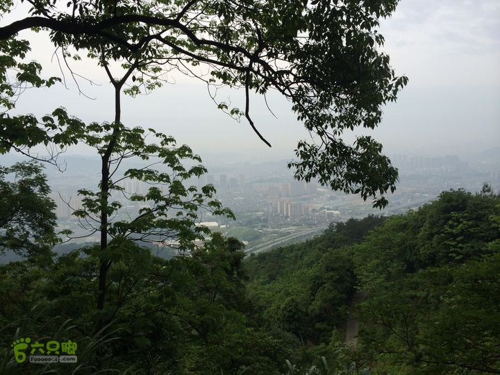 汤斜古道-大北岭-状元岭-贡院岭-泉头古道-杨廷水库圈越IMG_1520