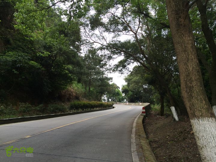汤斜古道-大北岭-状元岭-贡院岭-泉头古道-杨廷水库圈越IMG_1524