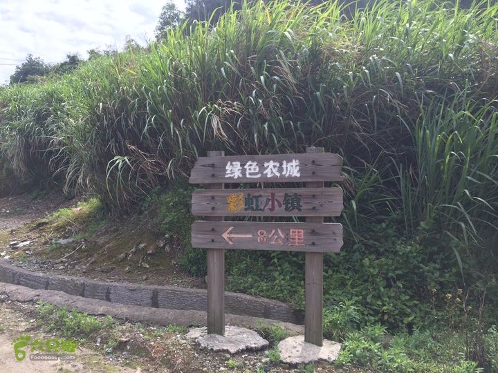 汤斜古道-大北岭-状元岭-贡院岭-泉头古道-杨廷水库圈越IMG_1527