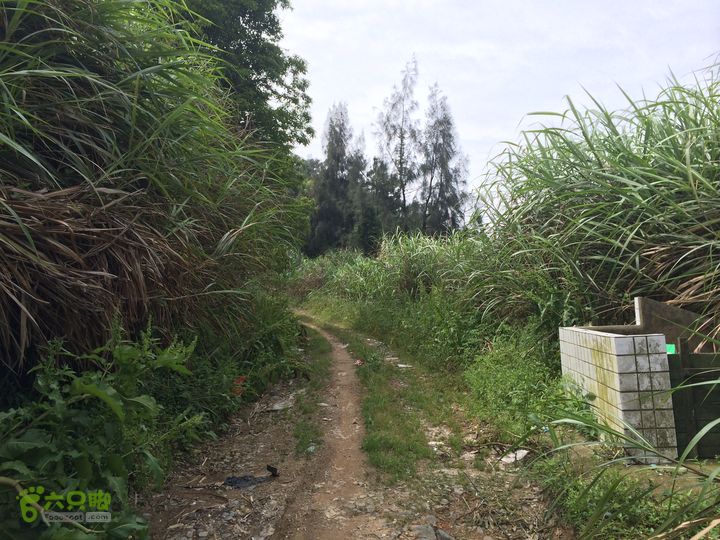 汤斜古道-大北岭-状元岭-贡院岭-泉头古道-杨廷水库圈越IMG_1529