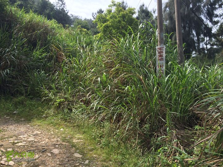 汤斜古道-大北岭-状元岭-贡院岭-泉头古道-杨廷水库圈越IMG_1532