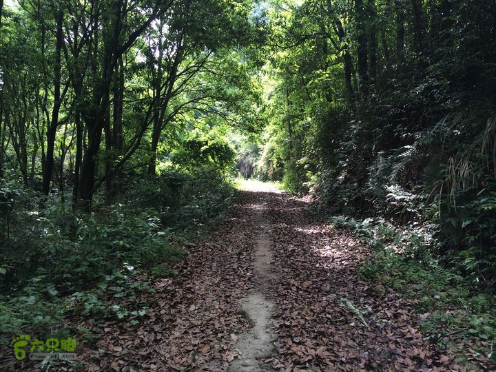 汤斜古道-大北岭-状元岭-贡院岭-泉头古道-杨廷水库圈越IMG_1533