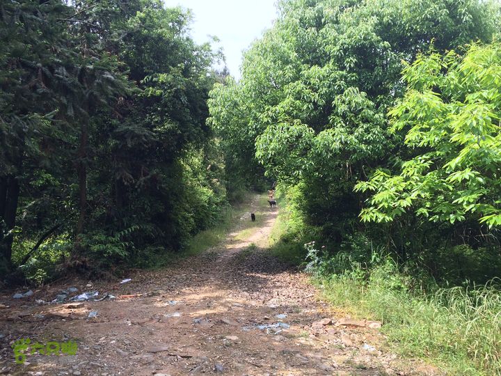 汤斜古道-大北岭-状元岭-贡院岭-泉头古道-杨廷水库圈越IMG_1535