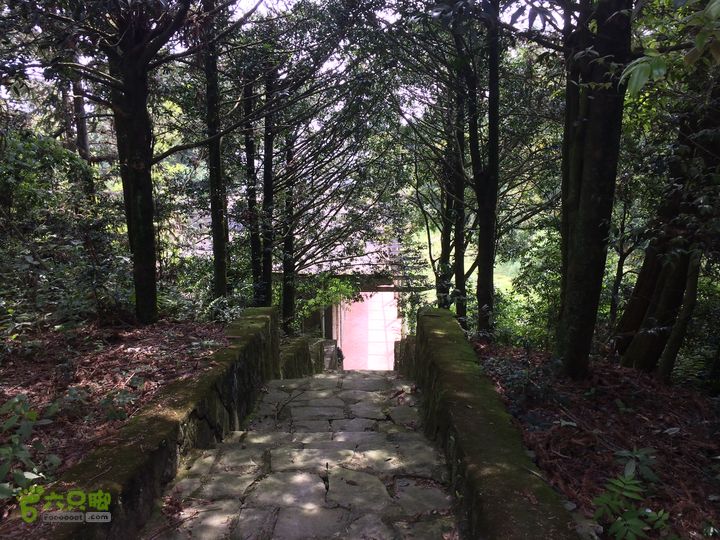 汤斜古道-大北岭-状元岭-贡院岭-泉头古道-杨廷水库圈越IMG_1543