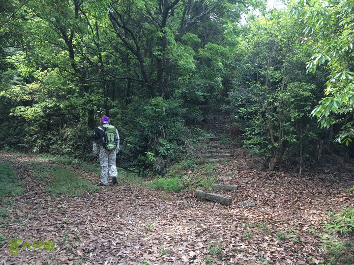 汤斜古道-大北岭-状元岭-贡院岭-泉头古道-杨廷水库圈越IMG_1544