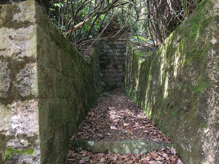 汤斜古道-大北岭-状元岭-贡院岭-泉头古道-杨廷水库圈越IMG_1545