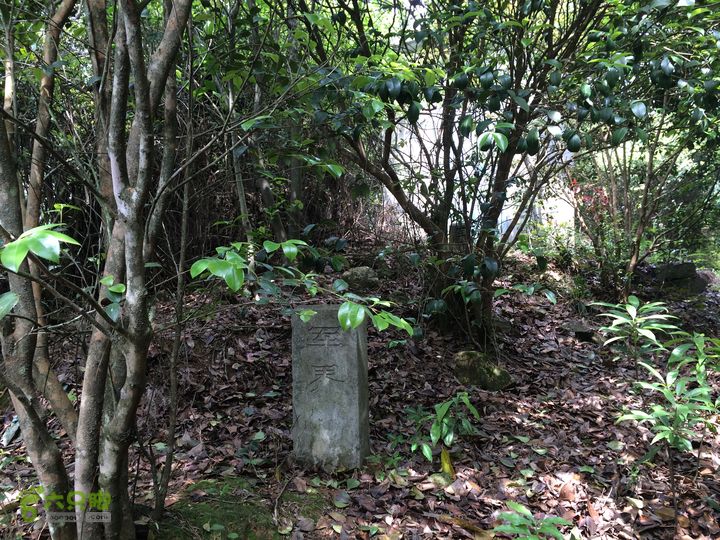 汤斜古道-大北岭-状元岭-贡院岭-泉头古道-杨廷水库圈越IMG_1547