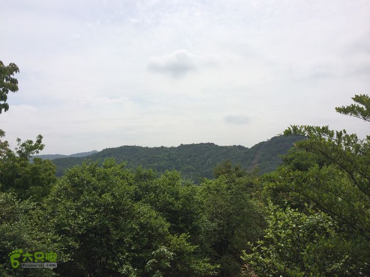 汤斜古道-大北岭-状元岭-贡院岭-泉头古道-杨廷水库圈越IMG_1548