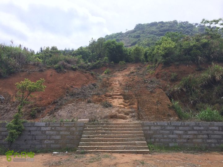 汤斜古道-大北岭-状元岭-贡院岭-泉头古道-杨廷水库圈越IMG_1554