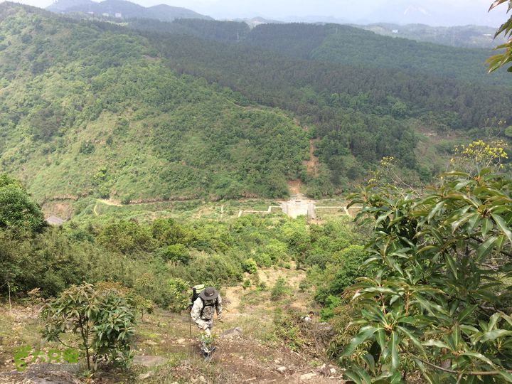 汤斜古道-大北岭-状元岭-贡院岭-泉头古道-杨廷水库圈越IMG_1556