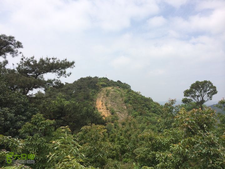 汤斜古道-大北岭-状元岭-贡院岭-泉头古道-杨廷水库圈越IMG_1566