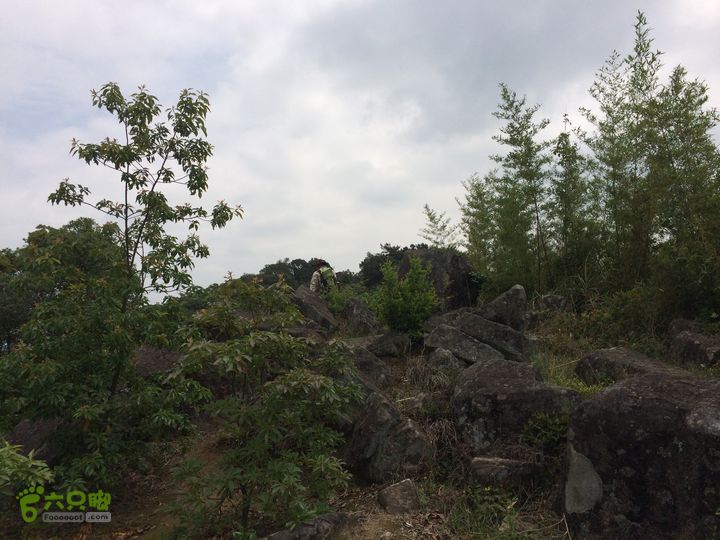 汤斜古道-大北岭-状元岭-贡院岭-泉头古道-杨廷水库圈越IMG_1567