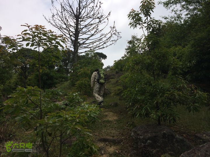 汤斜古道-大北岭-状元岭-贡院岭-泉头古道-杨廷水库圈越IMG_1568