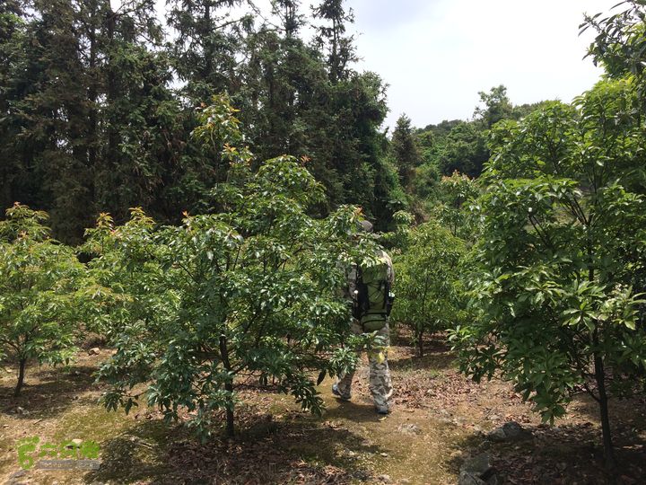 汤斜古道-大北岭-状元岭-贡院岭-泉头古道-杨廷水库圈越IMG_1569