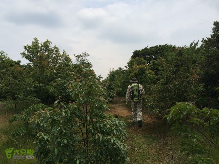 汤斜古道-大北岭-状元岭-贡院岭-泉头古道-杨廷水库圈越IMG_1572