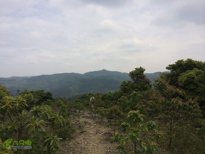 汤斜古道-大北岭-状元岭-贡院岭-泉头古道-杨廷水库圈越IMG_1574
