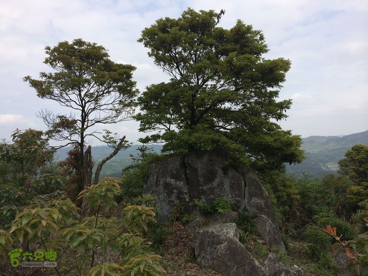 汤斜古道-大北岭-状元岭-贡院岭-泉头古道-杨廷水库圈越IMG_1575