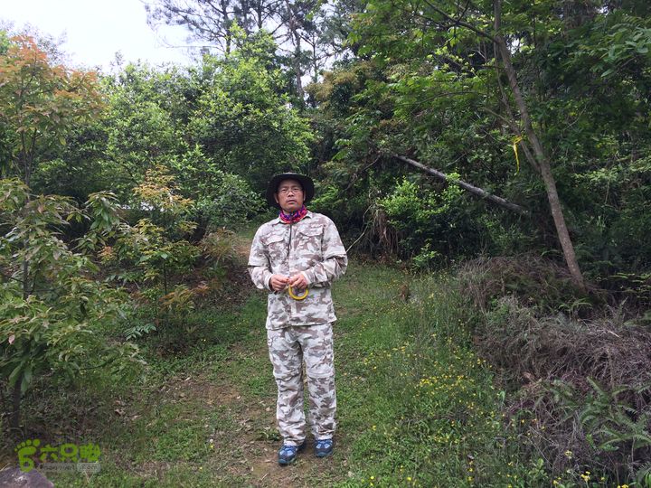 汤斜古道-大北岭-状元岭-贡院岭-泉头古道-杨廷水库圈越IMG_1583