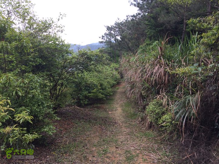 汤斜古道-大北岭-状元岭-贡院岭-泉头古道-杨廷水库圈越IMG_1584