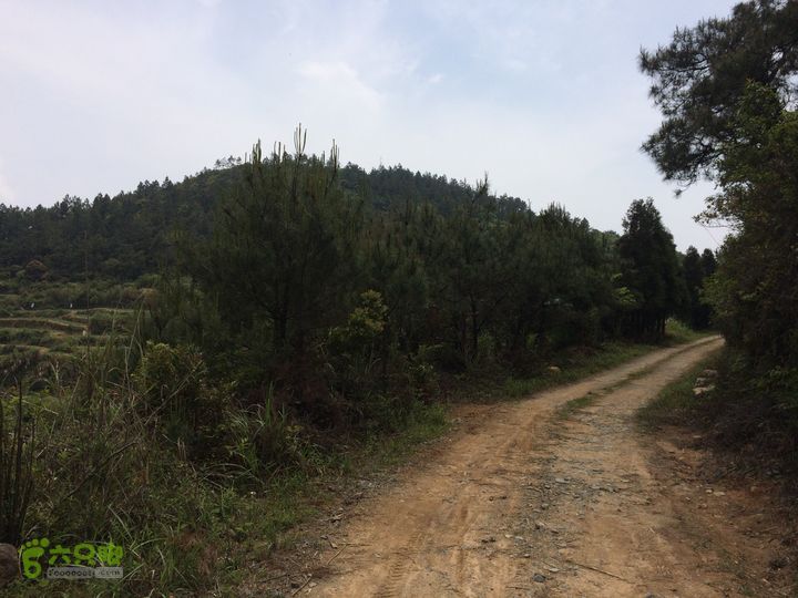 汤斜古道-大北岭-状元岭-贡院岭-泉头古道-杨廷水库圈越IMG_1596