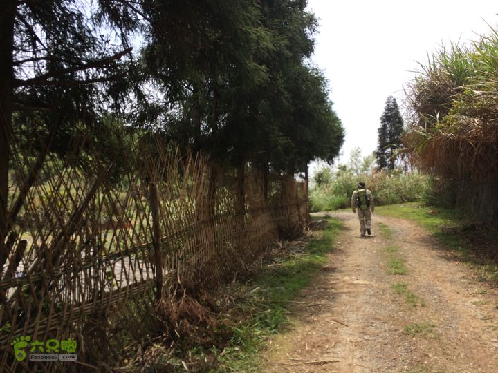 汤斜古道-大北岭-状元岭-贡院岭-泉头古道-杨廷水库圈越IMG_1597