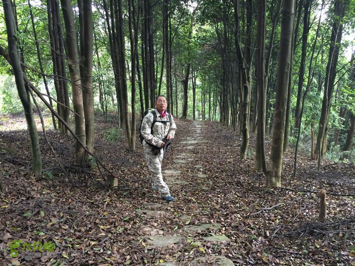 汤斜古道-大北岭-状元岭-贡院岭-泉头古道-杨廷水库圈越IMG_1612