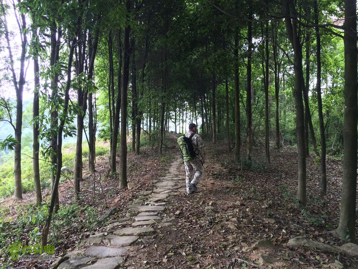 汤斜古道-大北岭-状元岭-贡院岭-泉头古道-杨廷水库圈越IMG_1619