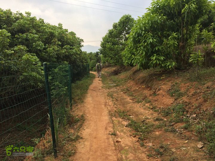 汤斜古道-大北岭-状元岭-贡院岭-泉头古道-杨廷水库圈越IMG_1625